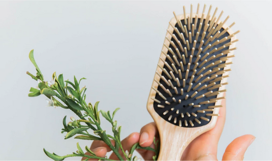 The Tek Brush Revolution: Sustainable Innovation in Haircare